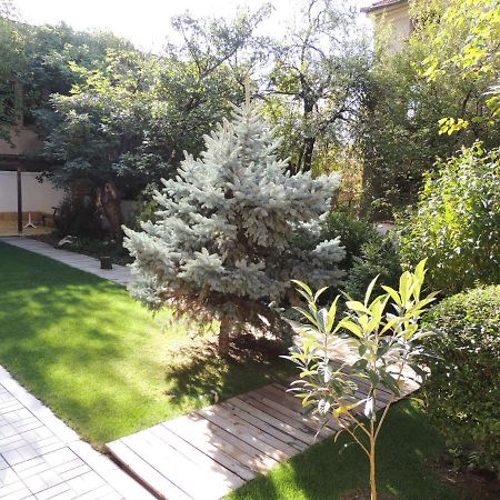Apartament Fantasy Chisaria Zewnętrze zdjęcie
