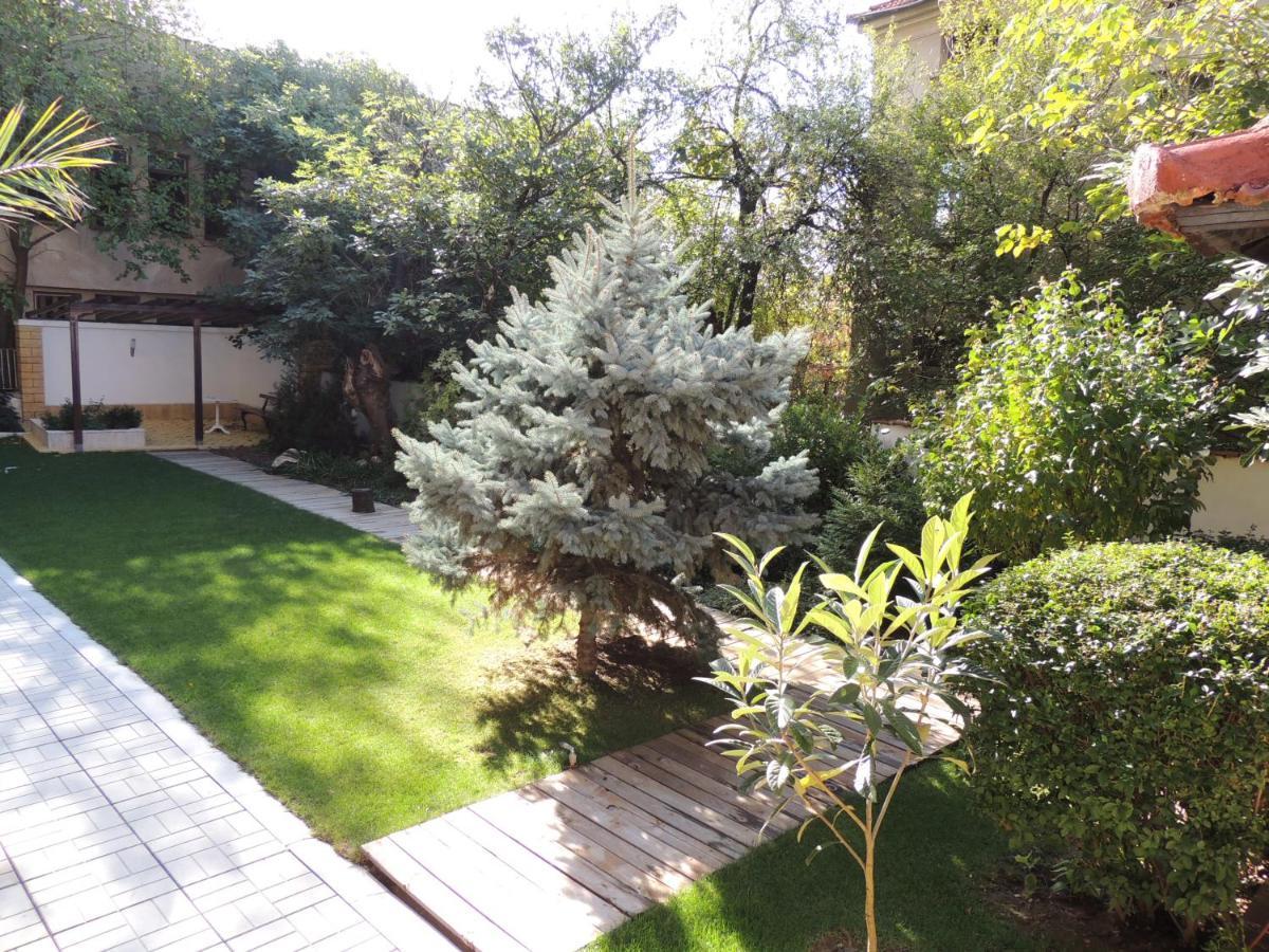 Apartament Fantasy Chisaria Zewnętrze zdjęcie